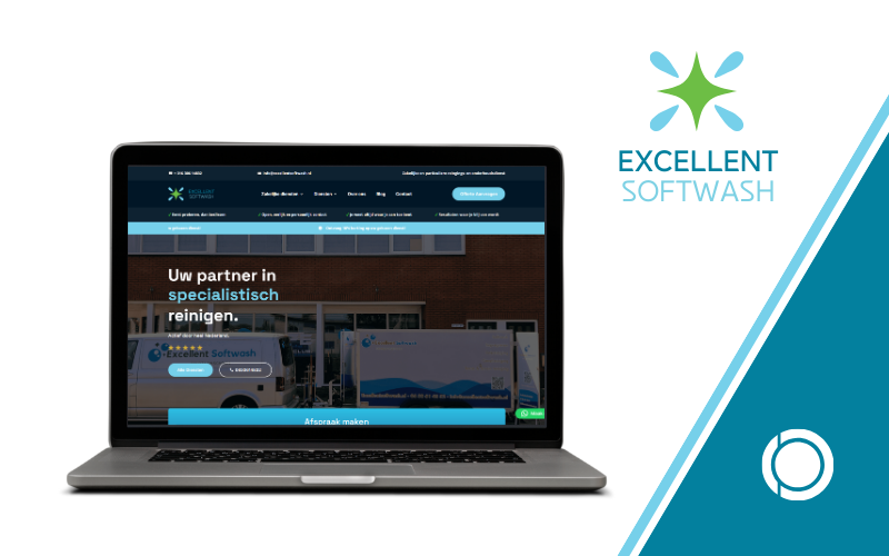 Excellent Softwash rebrand and website case by SalesFision