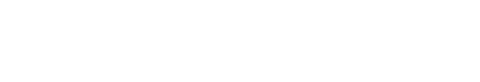 SalesFision